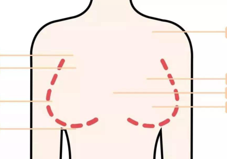 廣西美容學校：胸部保養(yǎng)的作用