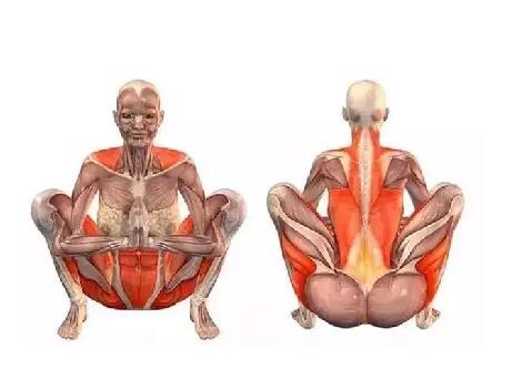 瑜伽動作小課堂！