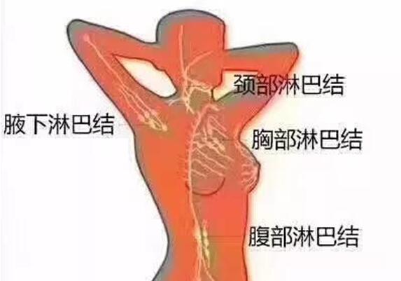 南寧美容師培訓(xùn)班課堂：你能做淋巴排毒嗎
