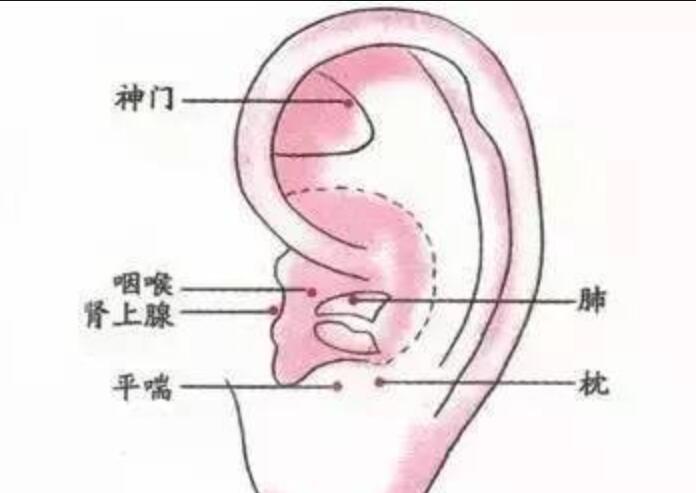 如何正確艾灸耳朵？南寧美容學(xué)校幫你整理教程