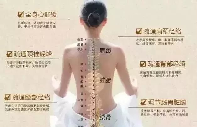 如何進(jìn)行背診？南寧美容培訓(xùn)中心手把手教你