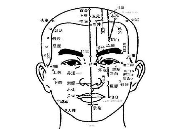 南寧美容培訓(xùn)課程：認識頭部經(jīng)絡(luò)的走向