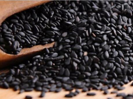 在家也能做的美發(fā)沙龍！