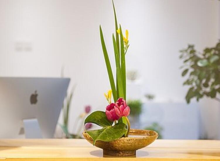 什么是盆式插花？南寧插花培訓(xùn)課程解析