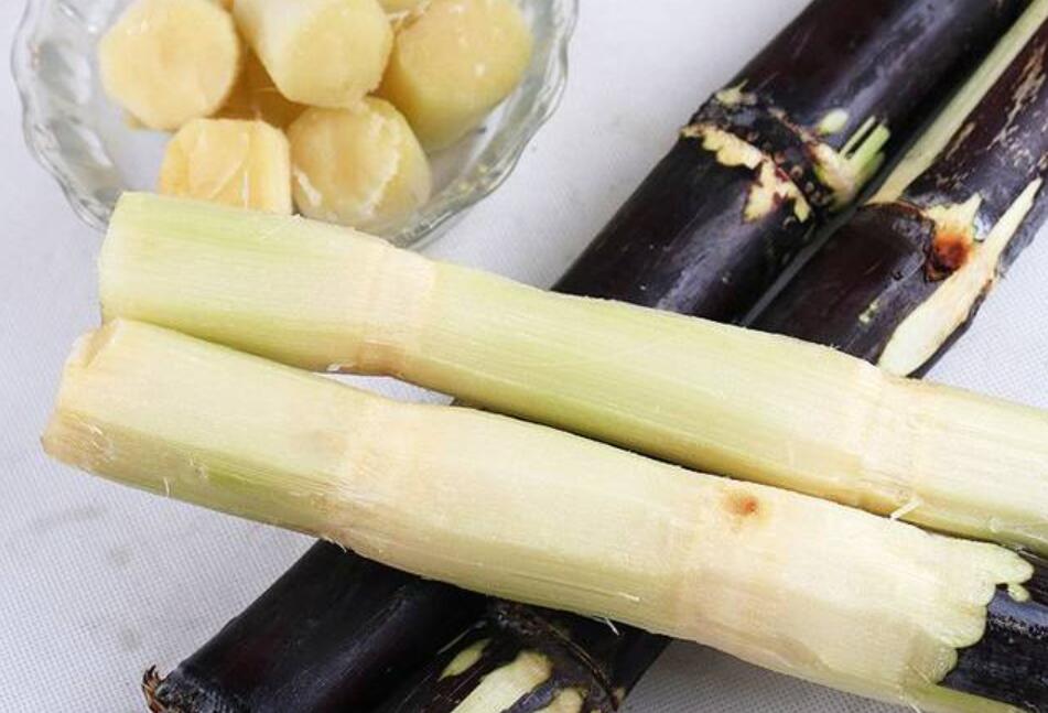 秋冬適合吃什么？南寧教美容養(yǎng)生的學校分享給你