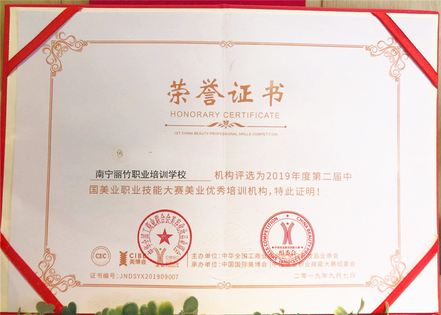 美業(yè)優(yōu) 秀培訓機構(gòu) | 2019年度第二屆中國美業(yè)職業(yè)技能大賽