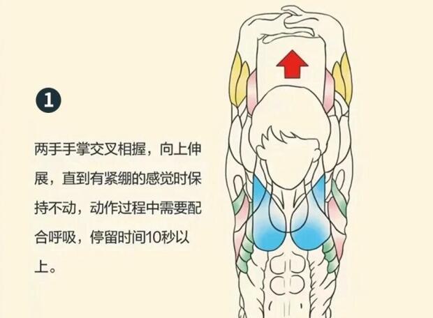 南寧美容師培訓要學什么？背部護理就是其中一項