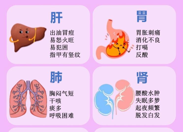 6大臟器保養(yǎng)指南，6款養(yǎng)生茶喝起來 ???