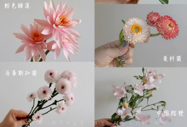 認(rèn)識(shí)常見花朵的名稱，廣西插花學(xué)?；ㄋ嚺嘤?xùn)基礎(chǔ)