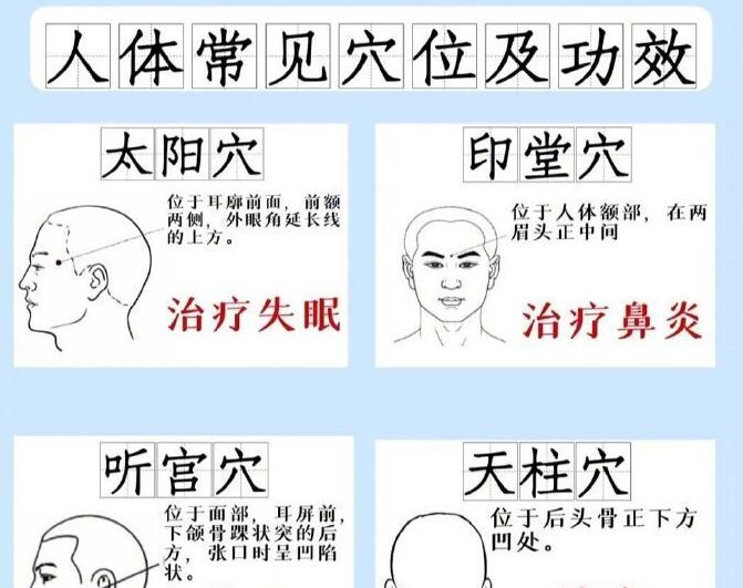 人體常見穴 位及功效，廣西專業(yè)正規(guī)美容學校講解