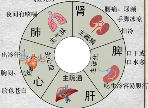 人體不同部位受寒的表現(xiàn)，廣西中醫(yī)美容培訓分享