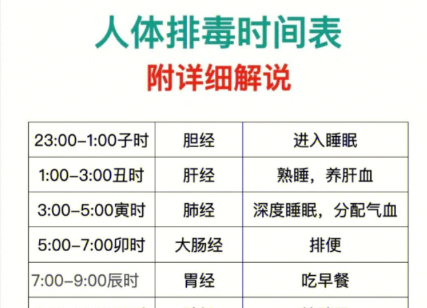 人體排毒時間表，南寧美容專業(yè)學校詳細解說