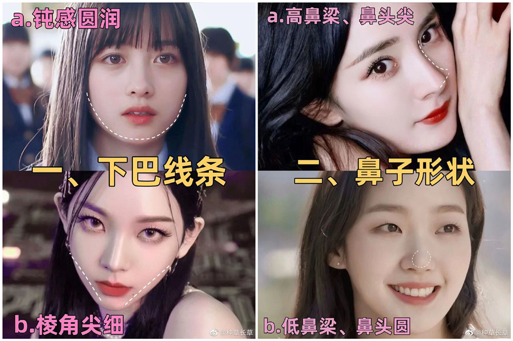 彩妝妝容分析分享：自測動物系長相？