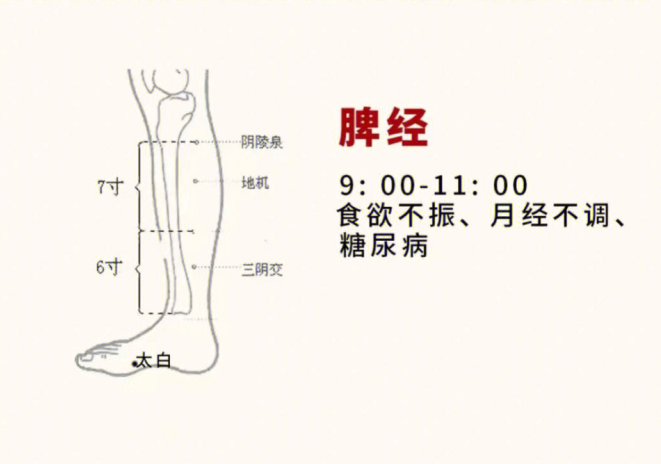 日常容易堵塞的身體部位，廣西美容基礎(chǔ)教學(xué)