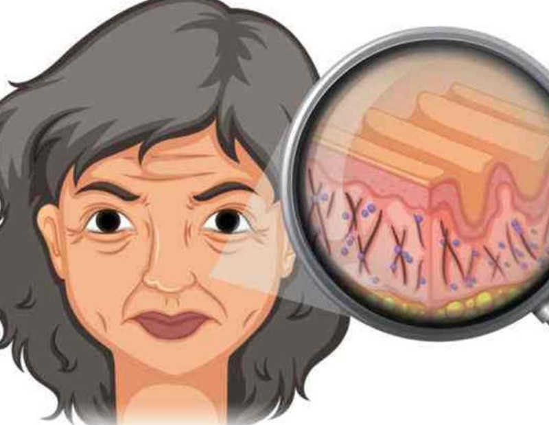 女性如何延緩衰老？南寧皮膚管理培訓(xùn)班講解