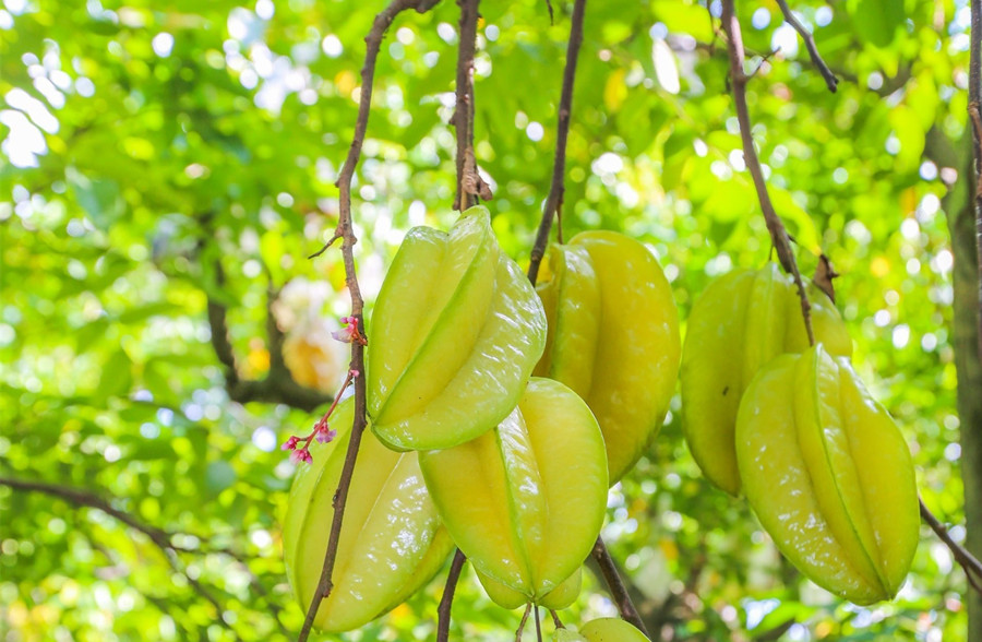 廣西美容護膚養(yǎng)顏班：春天吃什么水果好？