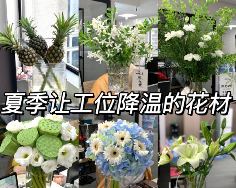 自帶降溫效果的花材，廣西學鮮花技術