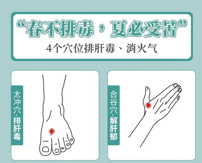 南寧美容健康管理：春季如何養(yǎng)生？