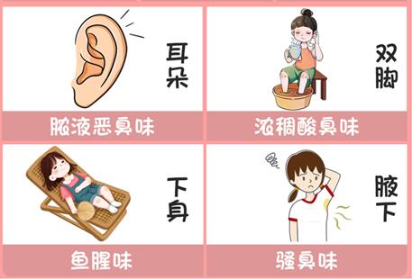 體味重的部位和緩解方法，廣西美容美體專業(yè)介紹