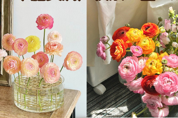 小眾但花語很美的花卉，南寧鮮花知識培訓(xùn)