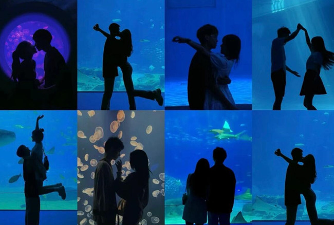 在海洋館怎么拍照？廣西人物形象設(shè)計(jì)專業(yè)支招