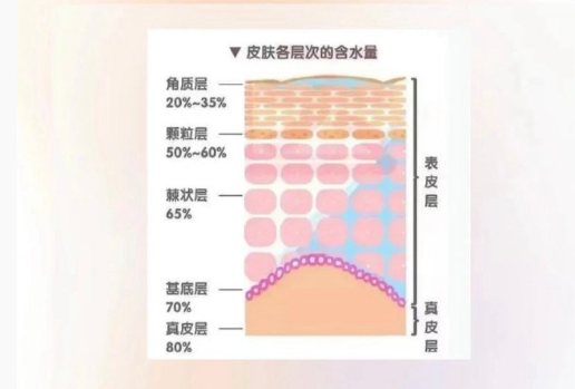 皮膚越補(bǔ)水越干？廣西美容護(hù)膚中心分析原因