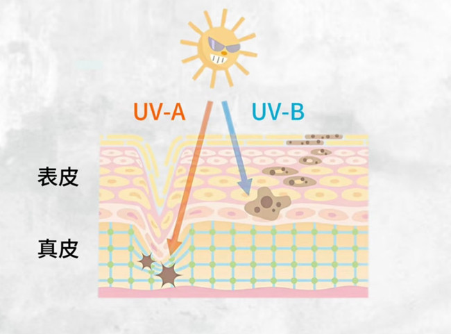 物理防曬和化學(xué)防曬怎么選？廣西皮膚管理美容